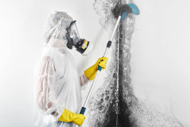 Best HVAC Mold Inspection and Cleaning  in Manitowoc, WI