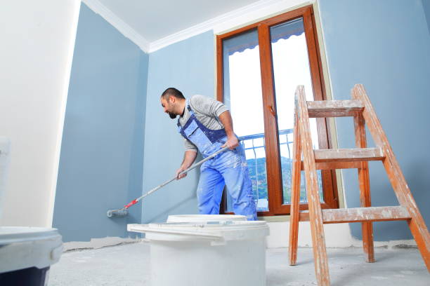 Manitowoc, WI Mold Removal Company