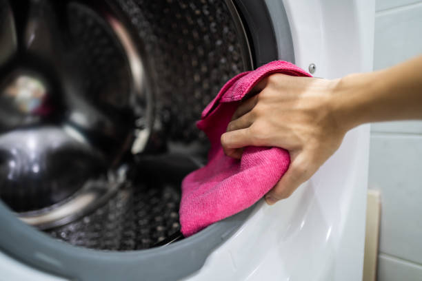 Best Dehumidification Services  in Manitowoc, WI