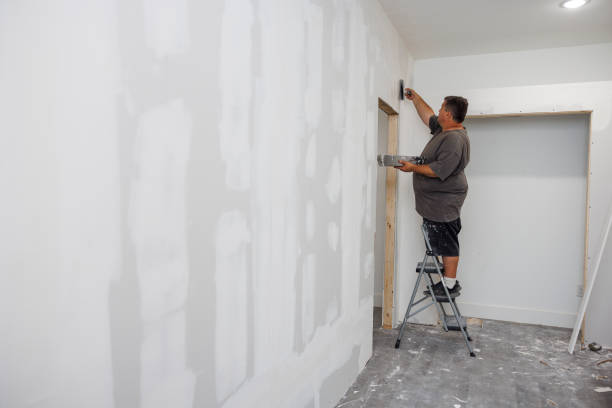 Best Post-Construction Mold Inspection  in Manitowoc, WI