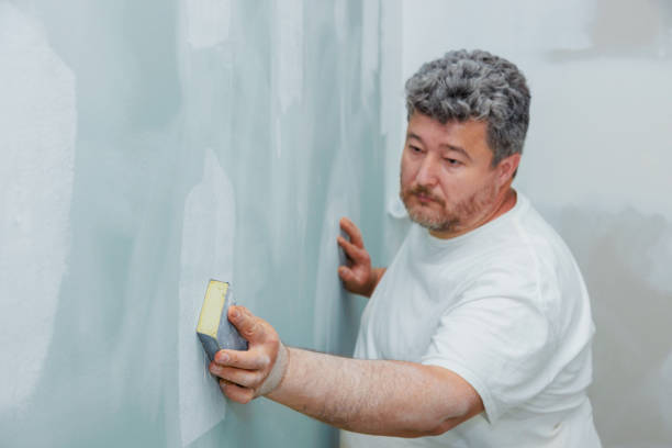 Best Post-Remediation Verification Testing  in Manitowoc, WI