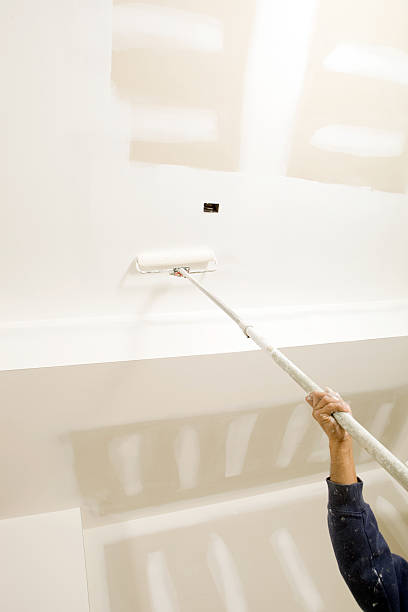 Best Basement Mold Removal  in Manitowoc, WI