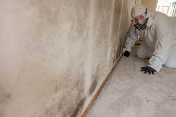 Best Mold Documentation for Insurance Claims  in Manitowoc, WI