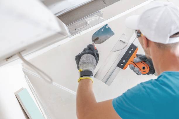 Best Mold Damage Restoration  in Manitowoc, WI